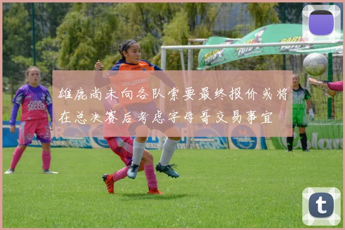 雄鹿尚未向各队索要最终报价或将在总决赛后考虑字母哥交易事宜