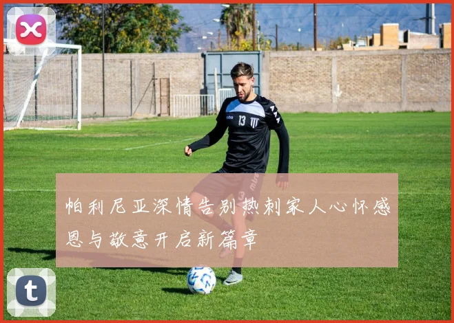 帕利尼亚深情告别热刺家人心怀感恩与敬意开启新篇章